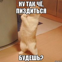 ну так чё, пиздиться будешь?