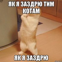 як я заздрю тим котам як я заздрю