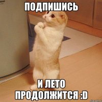 подпишись и лето продолжится :d