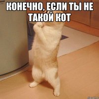 конечно, если ты не такой кот 