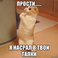 прости…… я насрал в твои тапки