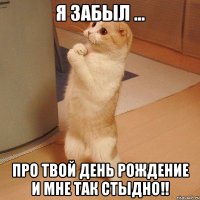 я забыл ... про твой день рождение и мне так стыдно!!