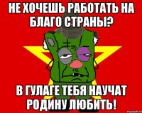 не хочешь работать на благо страны? в гулаге тебя научат родину любить!