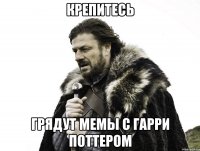 крепитесь грядут мемы с гарри поттером