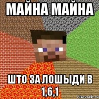 майна майна што за лошыди в 1,6,1