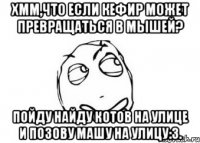 хмм,что если кефир может превращаться в мышей? пойду найду котов на улице и позову машу на улицу:3.