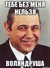 тебе без меня нельзя воляндруша