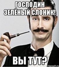 господин зелёный слоник! вы тут?