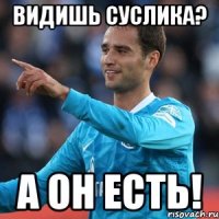 видишь суслика? а он есть!