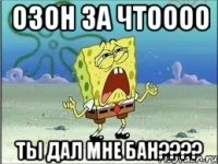 озон за чтоооо ты дал мне бан???