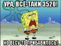 ура, всё-таки 3520! но весу-то прибавилось!