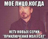 моё лицо,когда нету новых серий "приключения msflycat"