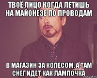 твоё лицо когда летишь на майонезе по проводам в магазин за колесом, а там снег идет как лампочка