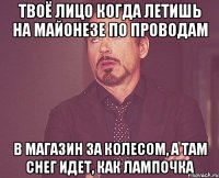 твоё лицо когда летишь на майонезе по проводам в магазин за колесом, а там снег идет, как лампочка