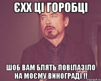 єхх ці горобці шоб вам блять повілазіло на моєму винограді !!