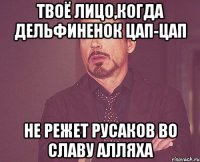 твоё лицо,когда дельфиненок цап-цап не режет русаков во славу алляха