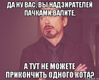 да ну вас, вы надзирателей пачками валите, а тут не можете прикончить одного кота?