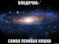 владочка:-* самая ленивая кошка