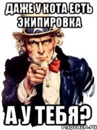 даже у кота есть экипировка а у тебя?