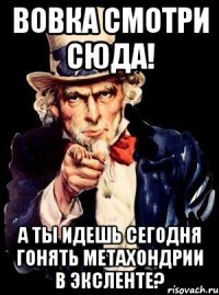 вовка смотри сюда! а ты идешь сегодня гонять метахондрии в эксленте?