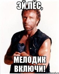 эй,пёс, мелодик включи!