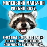 маленький мальчик разбил вазу. и осознав, что ему все равно влетит, продал телевизор, накурился и вызвал шлюх.