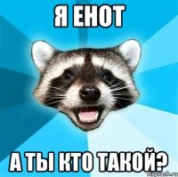 я енот а ты кто такой?