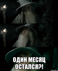  один месяц остался?!