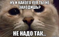 ну и какого хуя ты не заходишь? не надо так...