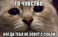 то чувство, когда тебя не зовут с собой