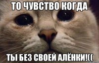 то чувство когда ты без своей алёнки!((