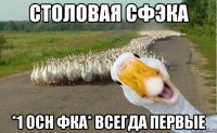 столовая сфэка *1 осн фка* всегда первые