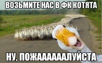 возьмите нас в фк котята ну, пожаааааалуйста