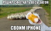 решил сфоткать весь загон своим iphone