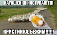 наташенки наступают!!! кристинка, бежим!!!