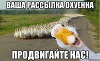 ваша рассылка охуенна продвигайте нас!