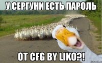 у сергуни есть пароль от cfg by liko?!