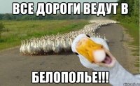 все дороги ведут в белополье!!!