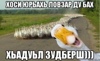 хоси юрьахь ловзар ду бах хьадуьл зудберш)))