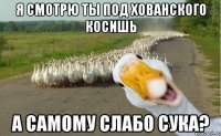 я смотрю ты под хованского косишь а самому слабо сука?