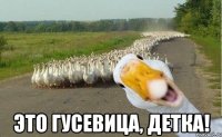  это гусевица, детка!