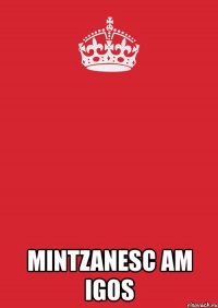  mintzanesc am igos