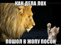 как дела лох пошол в жопу посон