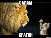 салам братан