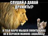 слушай,а давай дружить!? я тебя научу мышей ловить.у нас их в верхнем мамоне-завались!