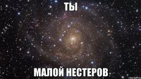 ты малой нестеров