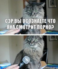  СЭР,ВЫ ОСОЗНАЕТЕ ЧТО ЯНА СМОТРИТ ПОРНО?