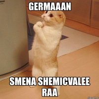 germaaan smena shemicvalee raa