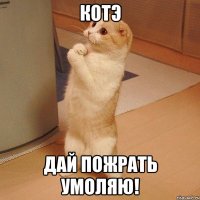 котэ дай пожрать умоляю!