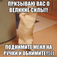 призываю вас о великие силы!! поднимите меня на ручки и обнимите!!)))